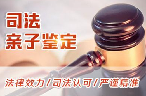 四川司法亲子鉴定多少钱的费用,四川司法DNA亲子鉴定如何做